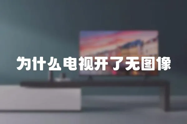 為什么電視開了無(wú)圖像