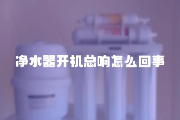 凈水器開機總響怎么回事
