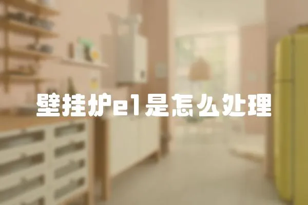 壁掛爐e1是怎么處理