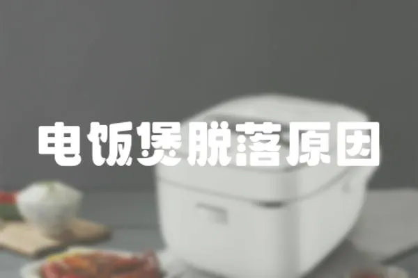 電飯煲脫落原因