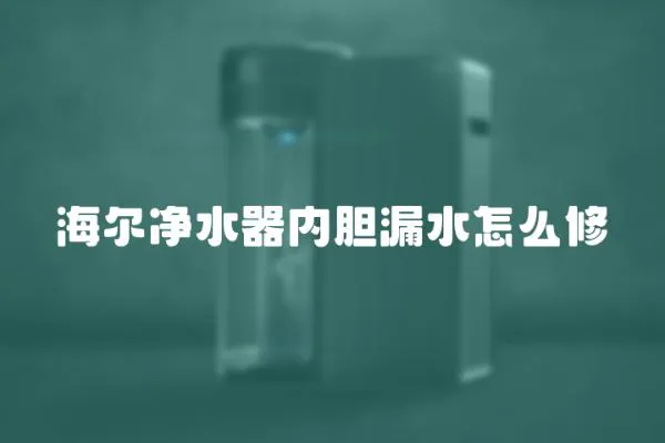 海爾凈水器內(nèi)膽漏水怎么修
