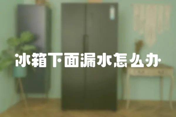 冰箱下面漏水怎么辦