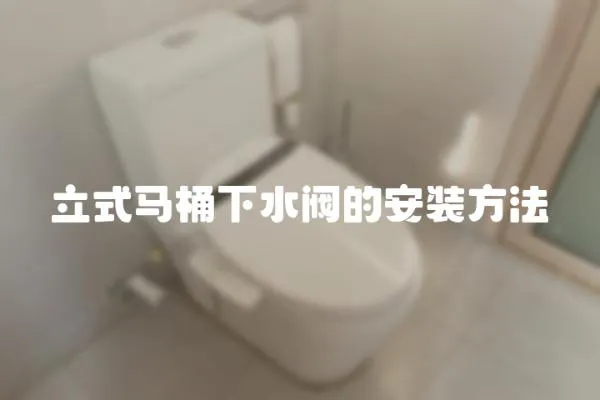 立式馬桶下水閥的安裝方法