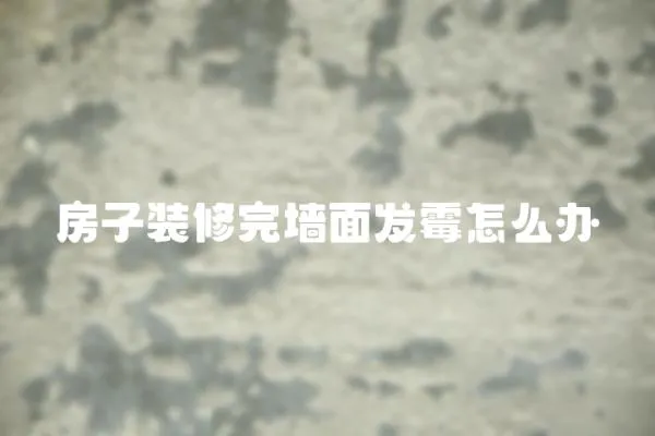 房子裝修完墻面發(fā)霉怎么辦