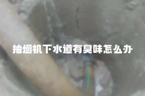 抽煙機下水道有臭味怎么辦