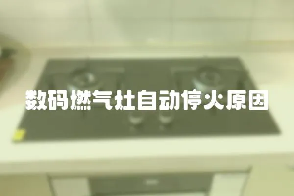數(shù)碼燃氣灶自動停火原因