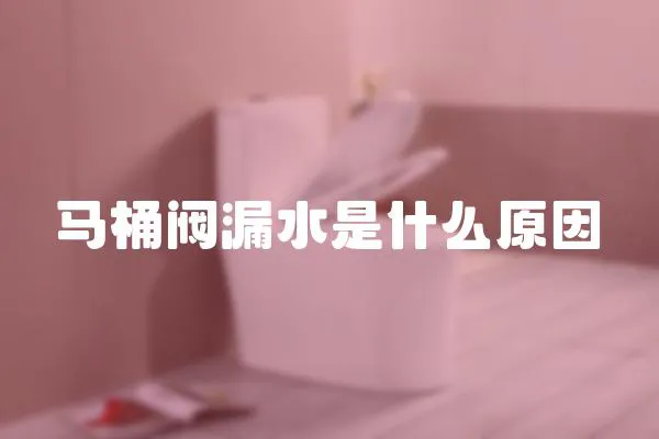馬桶閥漏水是什么原因