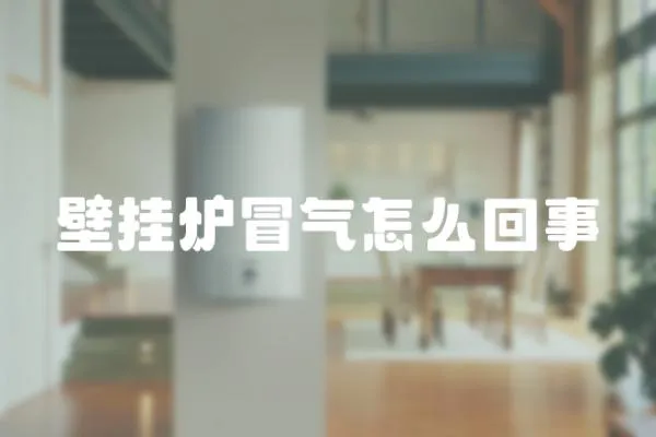 壁掛爐冒氣怎么回事