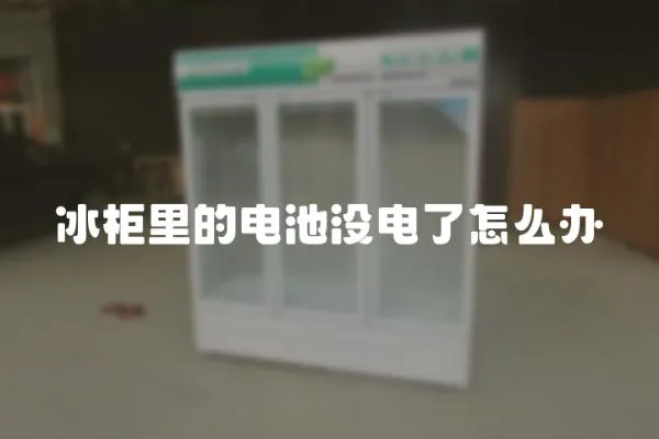 冰柜里的電池沒電了怎么辦