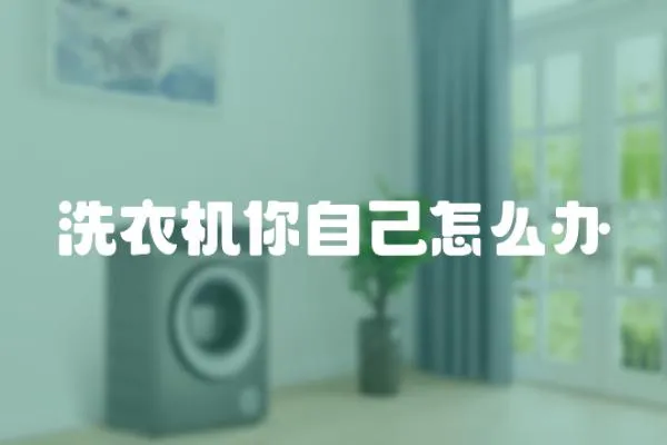 洗衣機你自己怎么辦