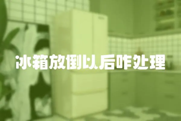 冰箱放倒以后咋處理