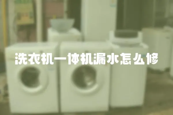 洗衣機一體機漏水怎么修