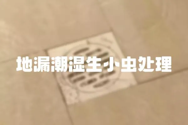 地漏潮濕生小蟲處理