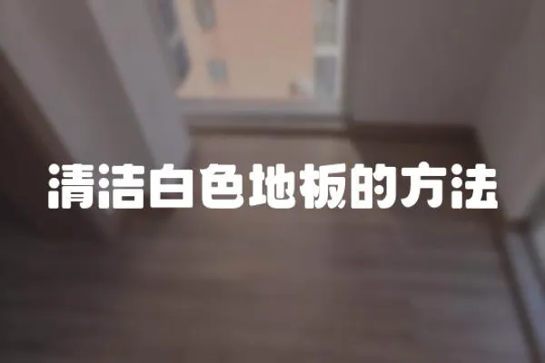 清潔白色地板的方法