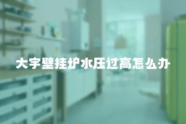 大宇壁掛爐水壓過高怎么辦