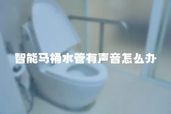 智能馬桶水管有聲音怎么辦