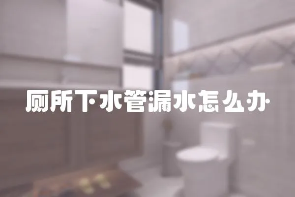 廁所下水管漏水怎么辦