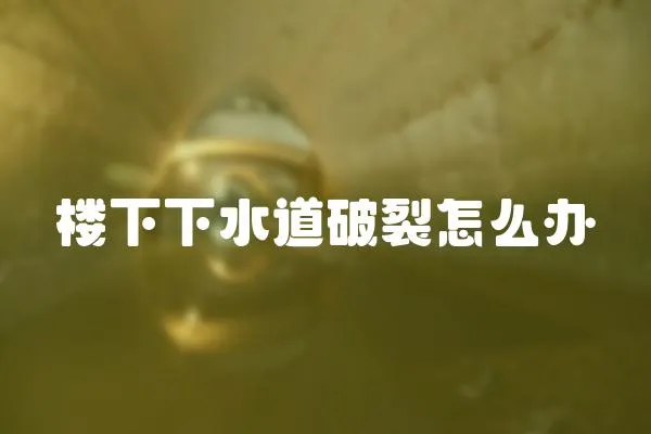 樓下下水道破裂怎么辦