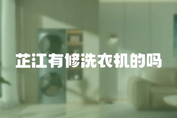 芷江有修洗衣機的嗎