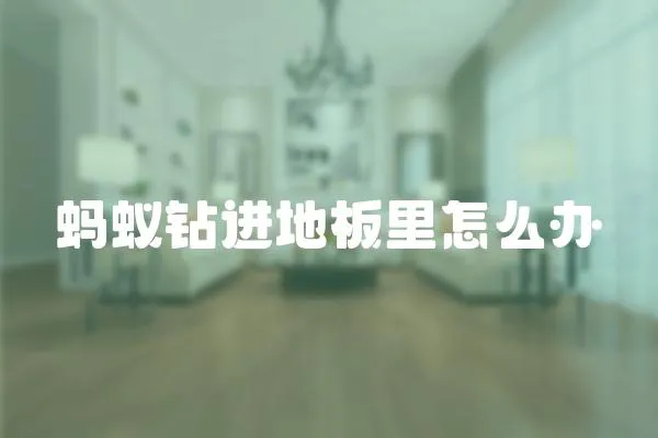 螞蟻鉆進地板里怎么辦