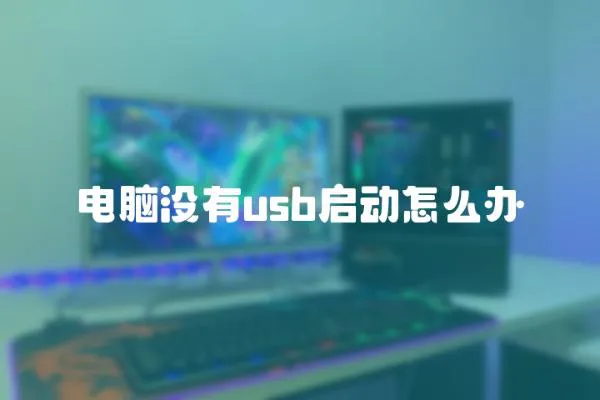 电脑没有usb启动怎么办