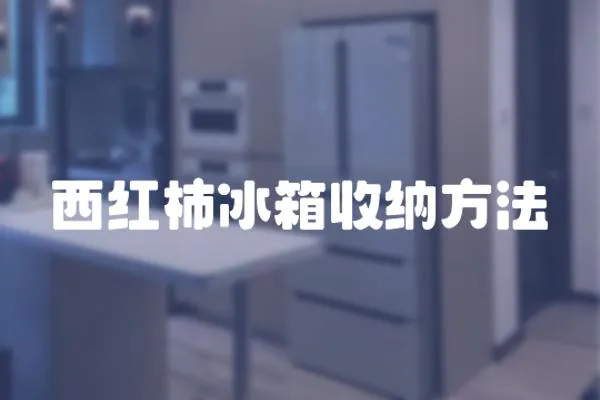 西紅柿冰箱收納方法