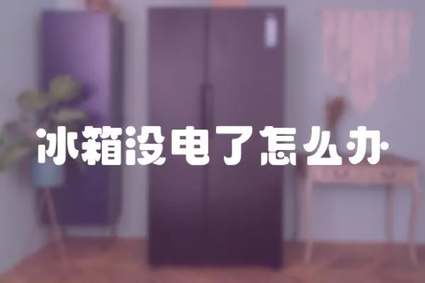 冰箱沒電了怎么辦