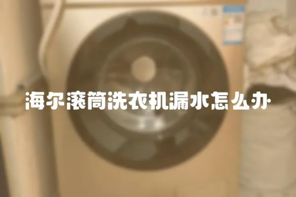 海爾滾筒洗衣機漏水怎么辦
