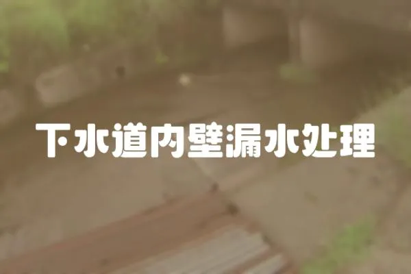 下水道內壁漏水處理