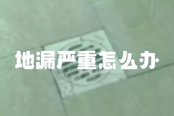 地漏嚴重怎么辦