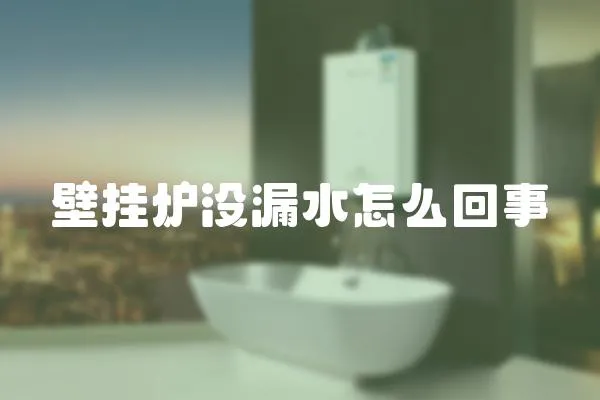 壁掛爐沒漏水怎么回事