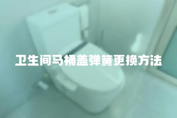 衛(wèi)生間馬桶蓋彈簧更換方法