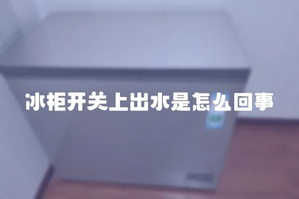 冰柜開關上出水是怎么回事