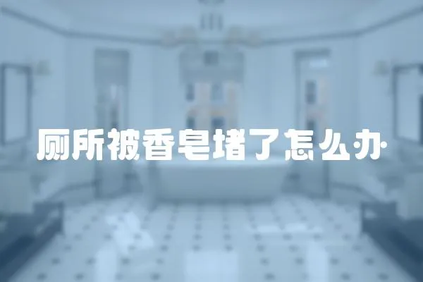 廁所被香皂堵了怎么辦