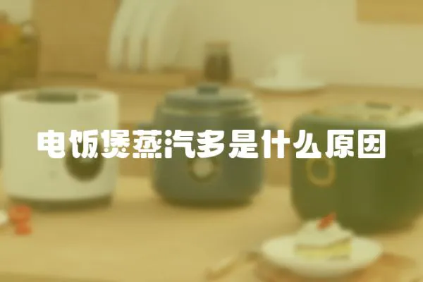 電飯煲蒸汽多是什么原因