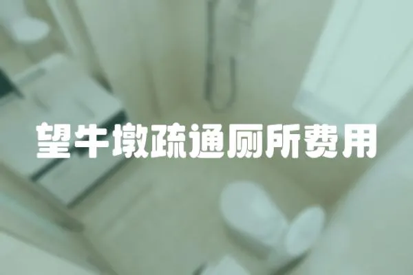 望牛墩疏通廁所費用