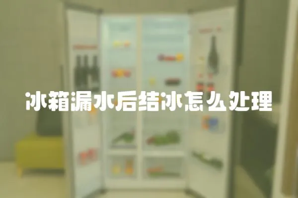 冰箱漏水后結(jié)冰怎么處理