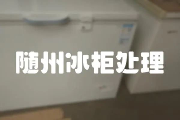 隨州冰柜處理