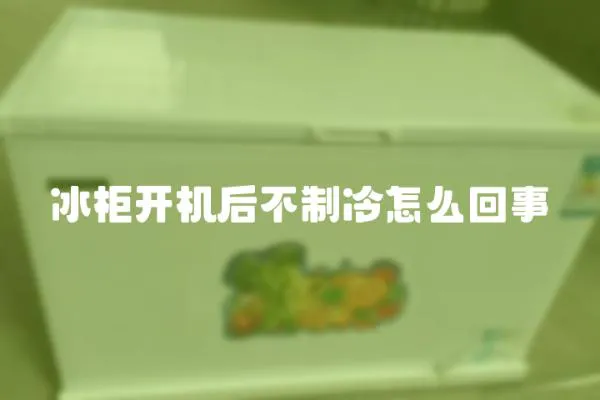 冰柜開機后不制冷怎么回事