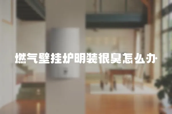 燃氣壁掛爐明裝很臭怎么辦