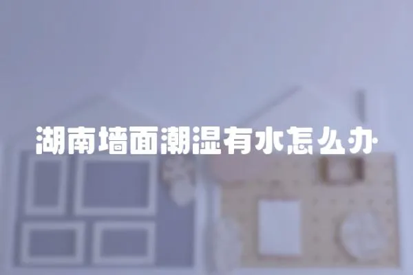 湖南墻面潮濕有水怎么辦