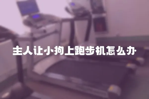 主人讓小狗上跑步機怎么辦
