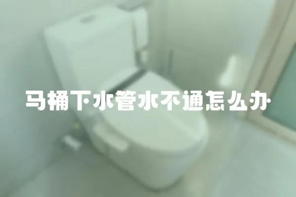 馬桶下水管水不通怎么辦