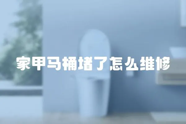 家甲馬桶堵了怎么維修