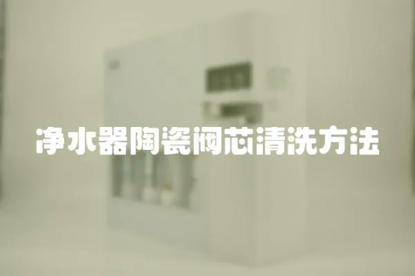 凈水器陶瓷閥芯清洗方法