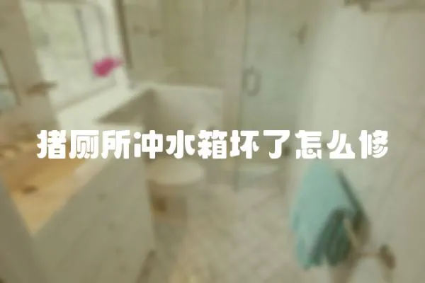 豬廁所沖水箱壞了怎么修