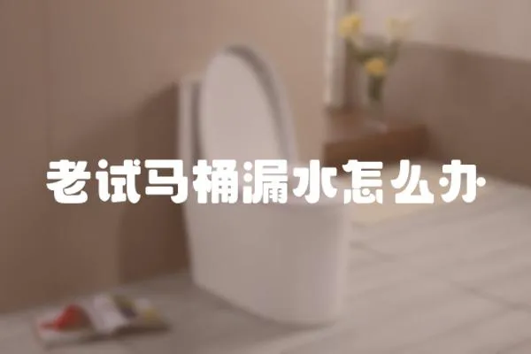 老試馬桶漏水怎么辦