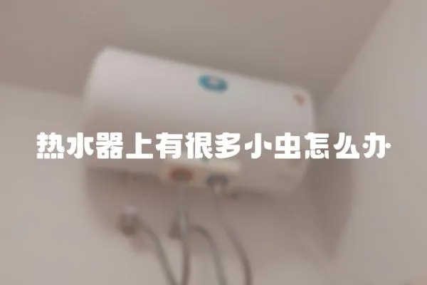 熱水器上有很多小蟲怎么辦