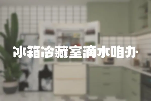 冰箱冷藏室滴水咱辦