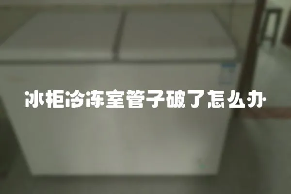 冰柜冷凍室管子破了怎么辦